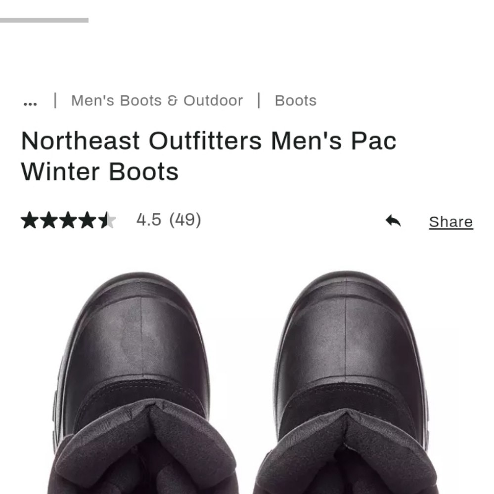 Men's insulated boots